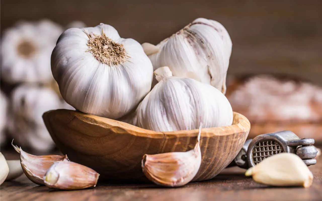 Metti subito dell’aglio in giardino o sul balcone: ecco quali insetti fastidiosi tiene lontani