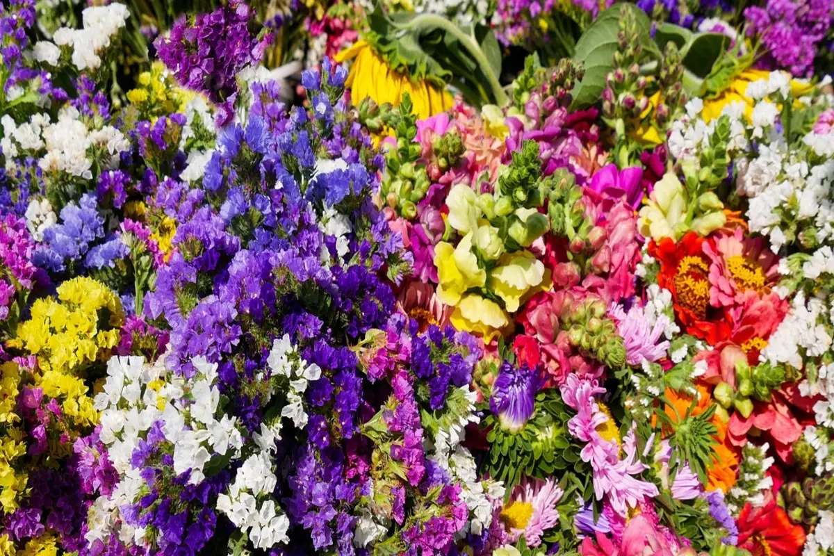 Il trucco semplice dei fioristi per tenere fermi i fiori nel vaso e creare composizioni perfette